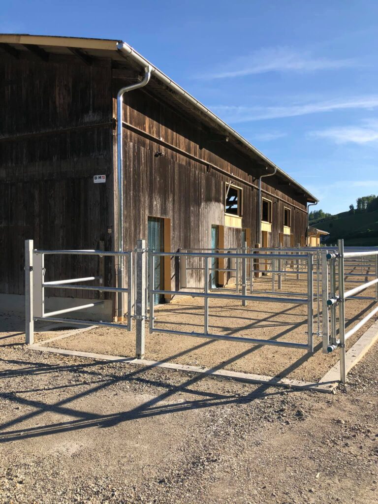 192621152_301502601688673_2406618590193630756_n