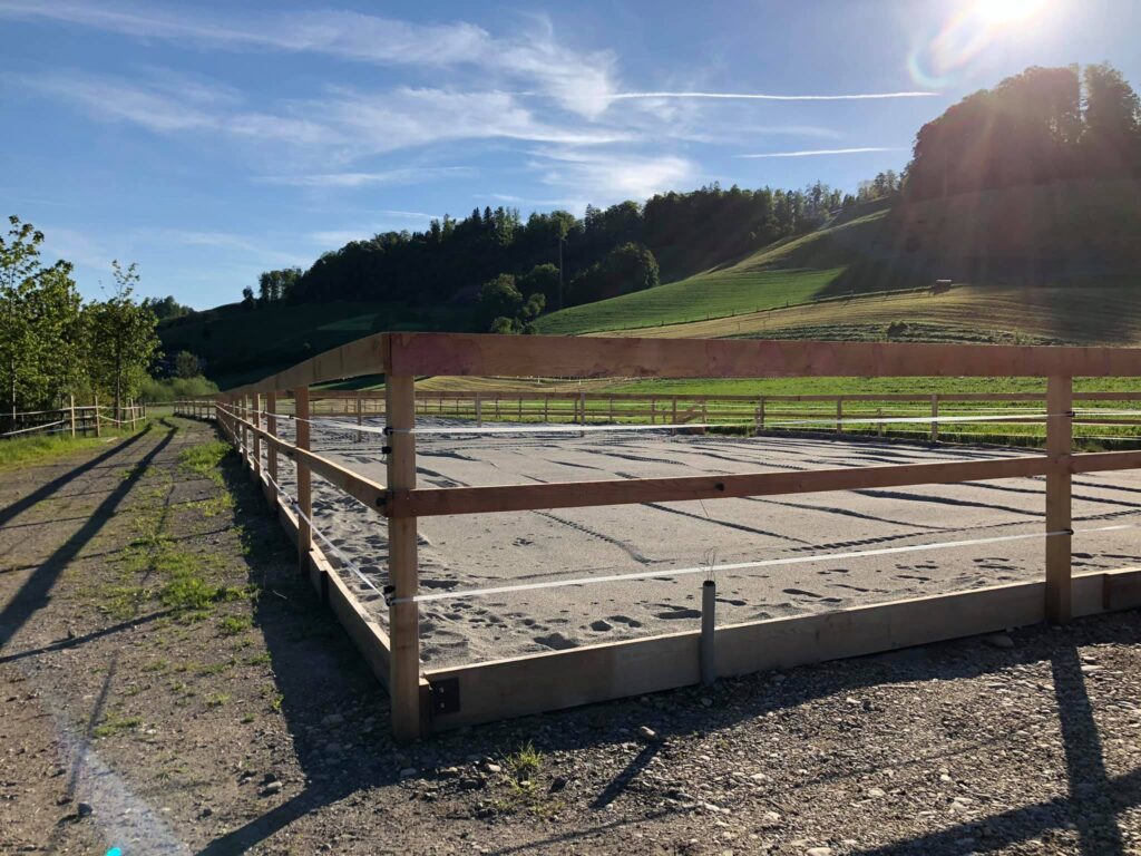 192711038_301502691688664_3937728109152986510_n